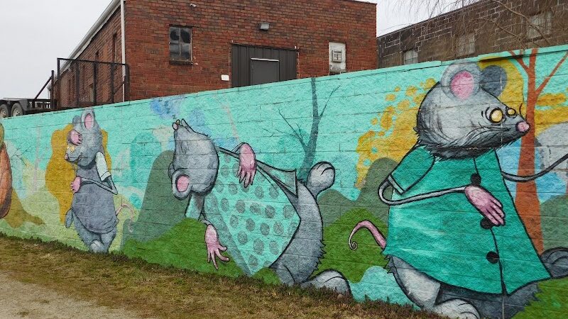 Mother Gooseland - Canton, OH