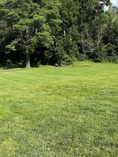 Mother Gooseland - Canton, OH