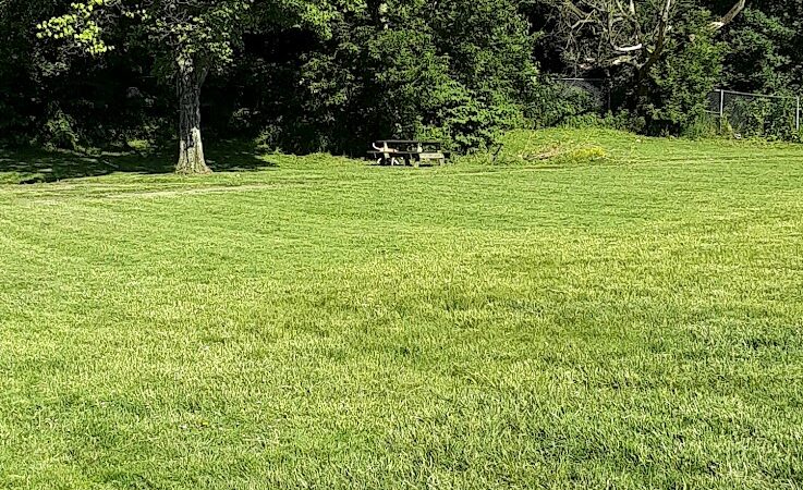 Mother Gooseland - Canton, OH