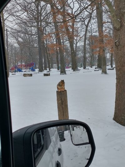 Nimisilla Park - Canton, OH