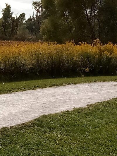 Plain Township Veterans Park - Canton, OH