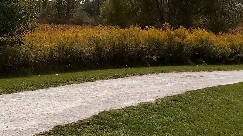 Plain Township Veterans Park - Canton, OH