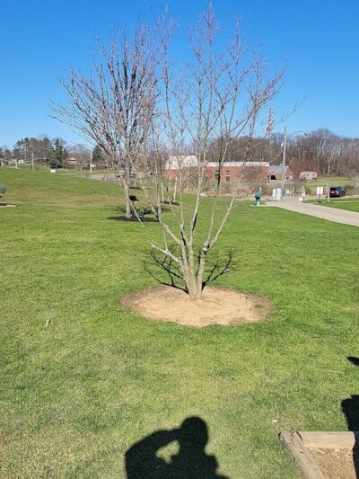 Plain Township Veterans Park - Canton, OH