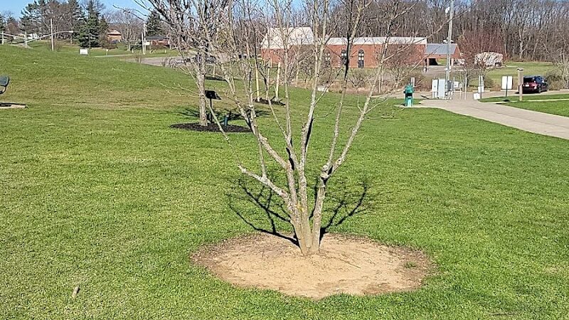 Plain Township Veterans Park - Canton, OH