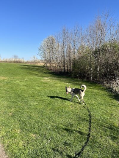Plain Township Veterans Park - Canton, OH