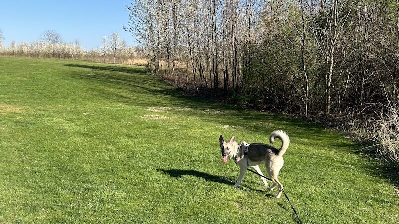 Plain Township Veterans Park - Canton, OH