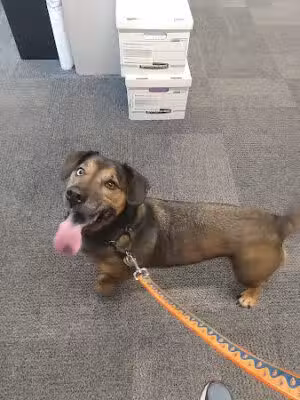 Sippo Lake Park-East - Canton, OH