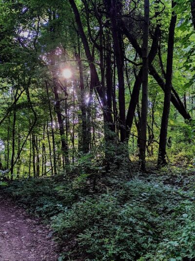 Sippo Lake Park-East - Canton, OH