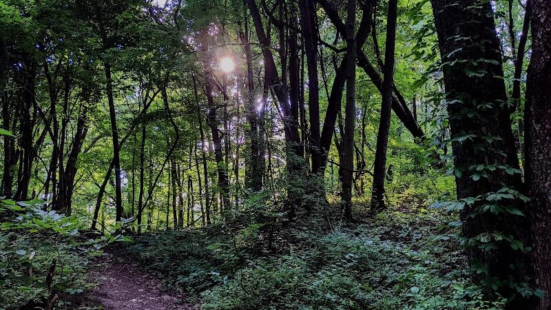 Sippo Lake Park-East - Canton, OH