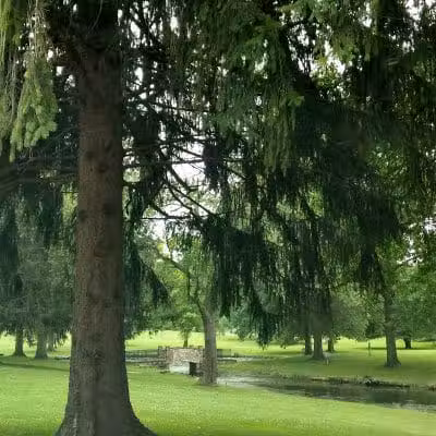 Spiker Park - Canton, OH