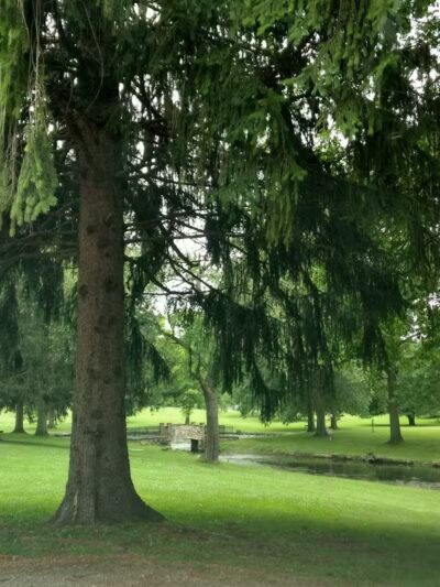 Spiker Park - Canton, OH