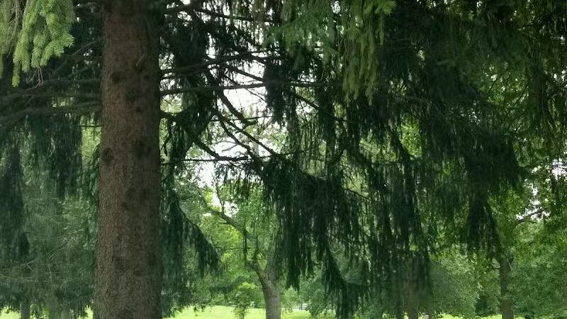 Spiker Park - Canton, OH