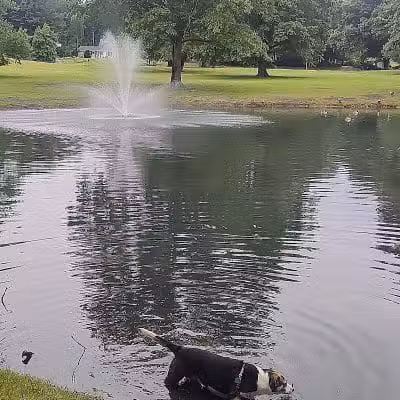 Spiker Park - Canton, OH