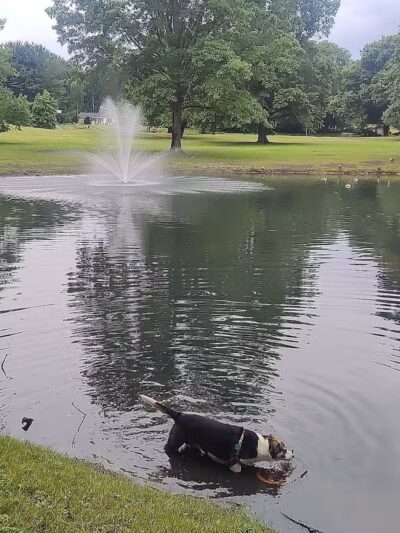 Spiker Park - Canton, OH