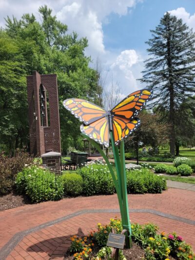 Stadium Park - Canton, OH