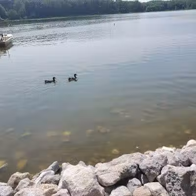 Stark Parks - Canton, OH