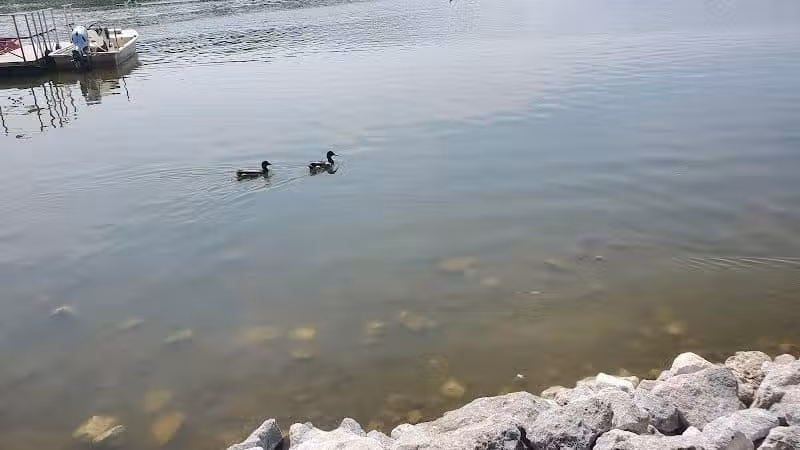 Stark Parks - Canton, OH