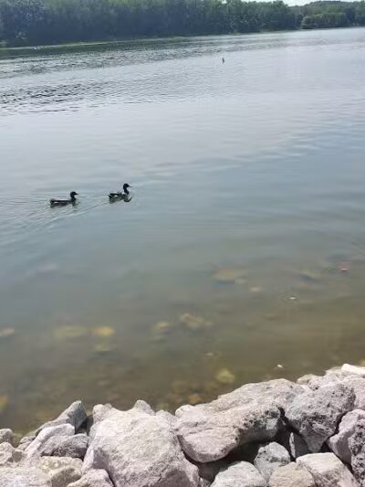 Stark Parks - Canton, OH