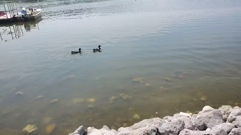 Stark Parks - Canton, OH