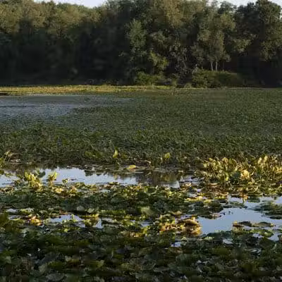 Stark Parks - Canton, OH