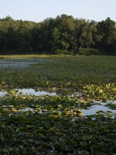 Stark Parks - Canton, OH