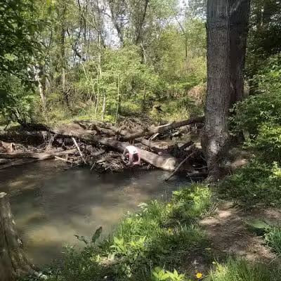 Stark Parks - Canton, OH