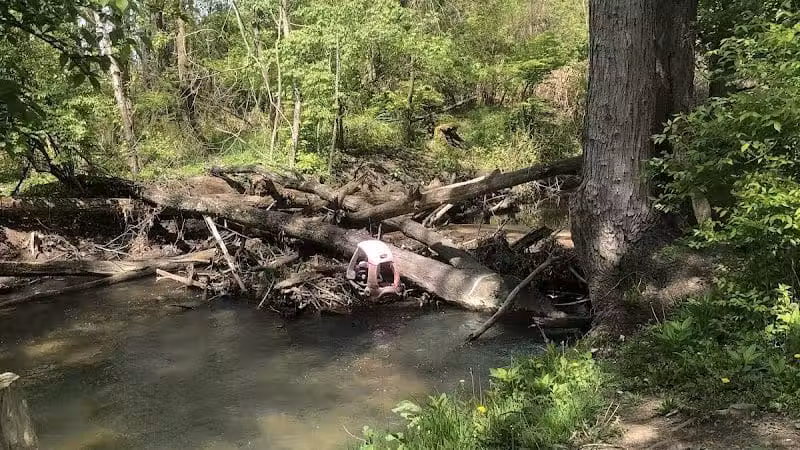 Stark Parks - Canton, OH