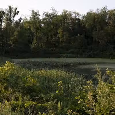 Stark Parks - Canton, OH