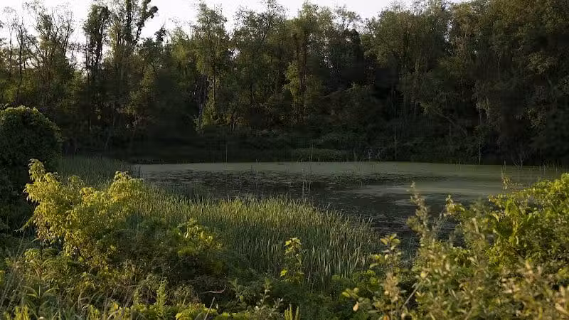Stark Parks - Canton, OH