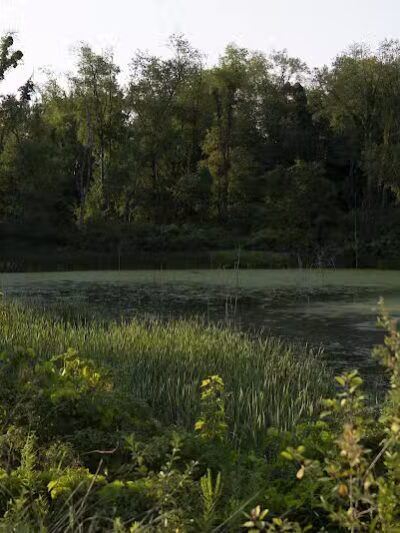 Stark Parks - Canton, OH