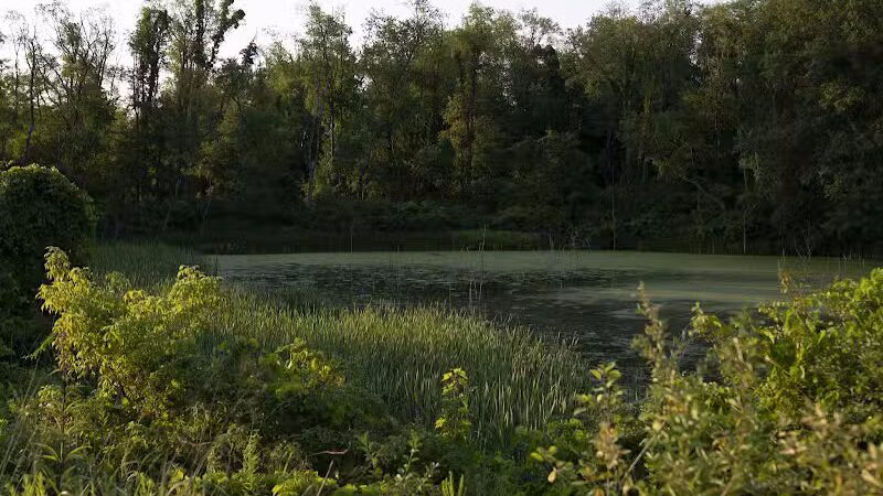 Stark Parks - Canton, OH