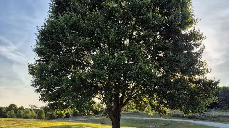 Tam O'Shanter Park - Canton, OH