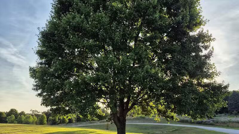 Tam O'Shanter Park - Canton, OH