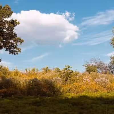 Tam O'Shanter Park - Canton, OH