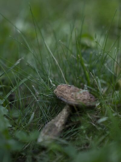 Vassar Park - Canton, OH