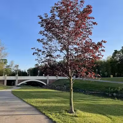West Branch Trail - Canton, OH