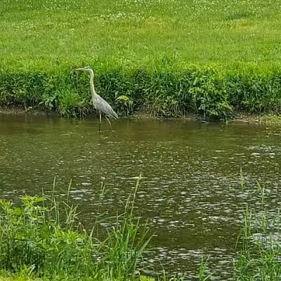 West Branch Trail - Canton, OH