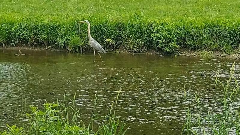 West Branch Trail - Canton, OH