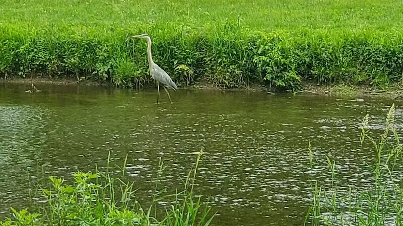West Branch Trail - Canton, OH