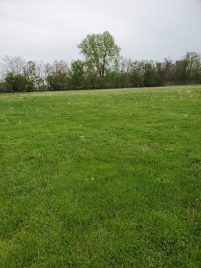 West Park - Canton, OH