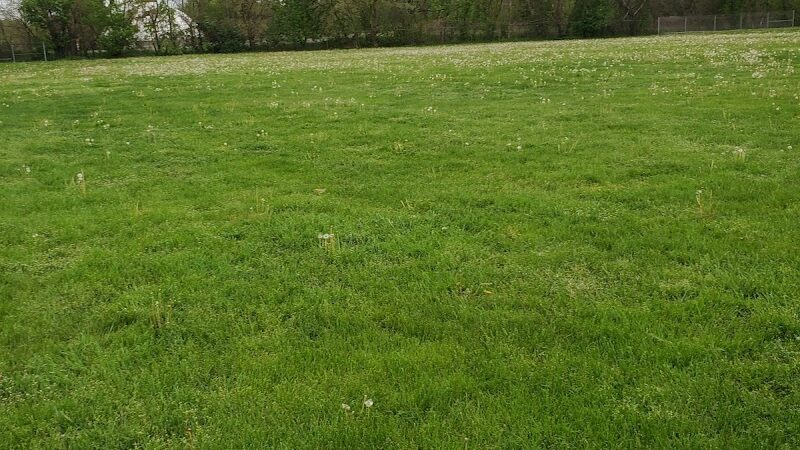 West Park - Canton, OH