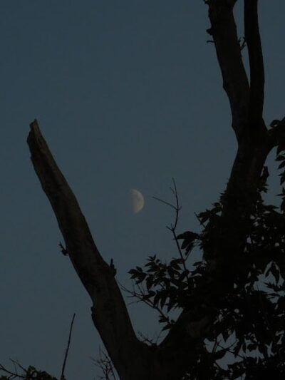 West Park - Canton, OH