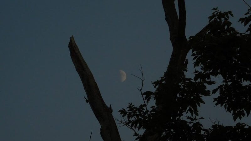 West Park - Canton, OH