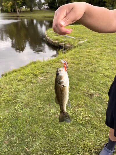 Westbrook Veterans Memorial Park - Canton, OH
