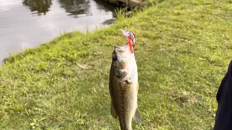 Westbrook Veterans Memorial Park - Canton, OH