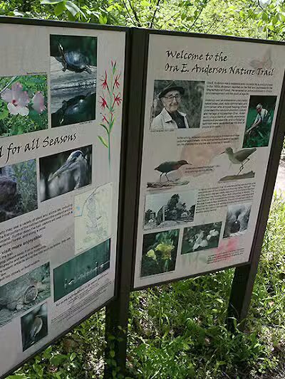 Ora E. Anderson Nature Trail - Carbon Hill, OH