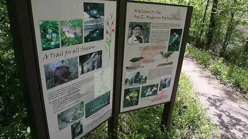 Ora E. Anderson Nature Trail - Carbon Hill, OH