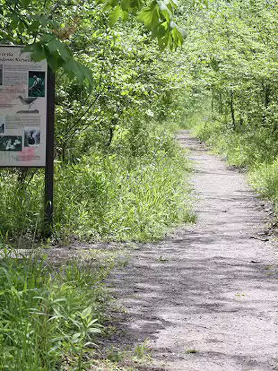 Ora E. Anderson Nature Trail - Carbon Hill, OH