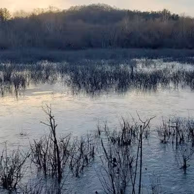 Ora E. Anderson Nature Trail - Carbon Hill, OH