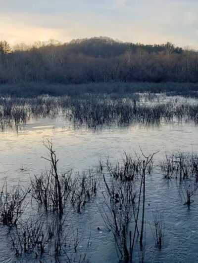 Ora E. Anderson Nature Trail - Carbon Hill, OH
